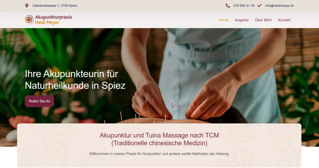 acupuncture-website-design